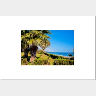 Palm trees Torrox Costa Del Sol Andalusia Costa Spain Posters and Art